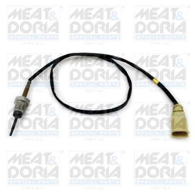 Sensor, exhaust gas temperature